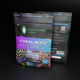 Coral Blitz