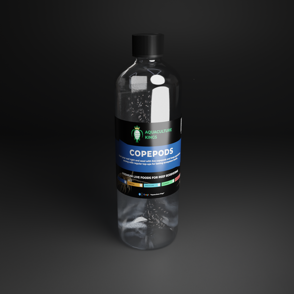 Bottle of live mixed copepods for reef tank dosing