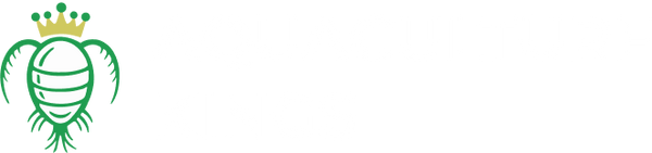 Aquaculture Kings